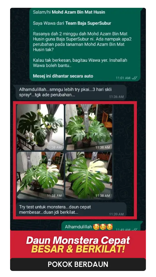 Testimoni-Daun-3.webp
